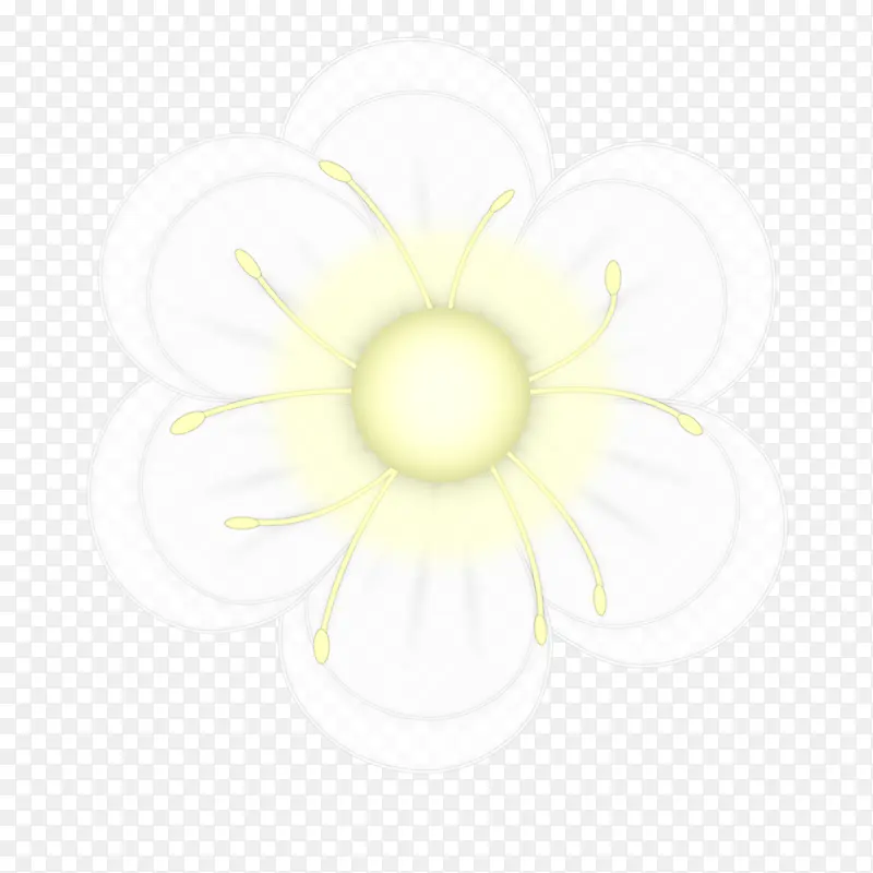 白色花瓣