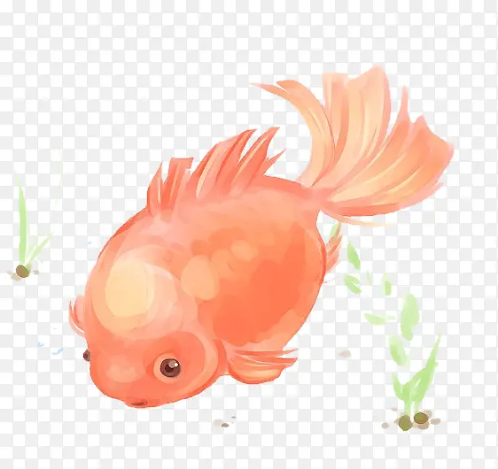 水彩红色金鱼免抠素材