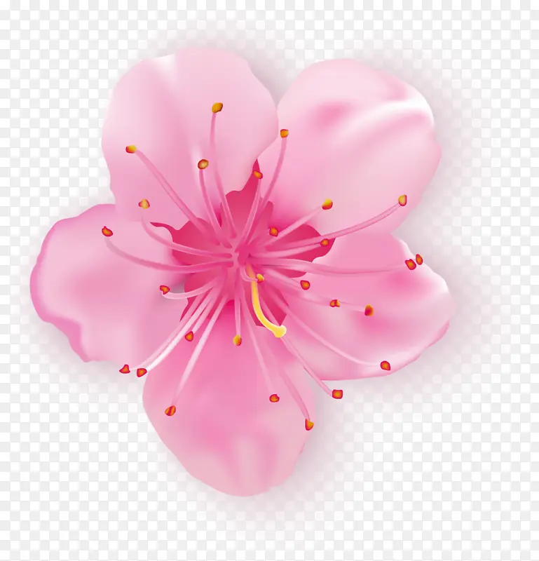 春天唯美粉色喇叭花