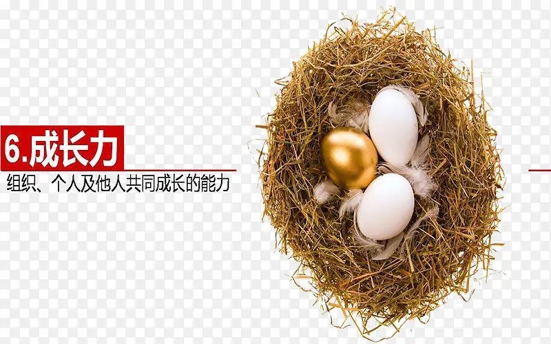 强大的成长力