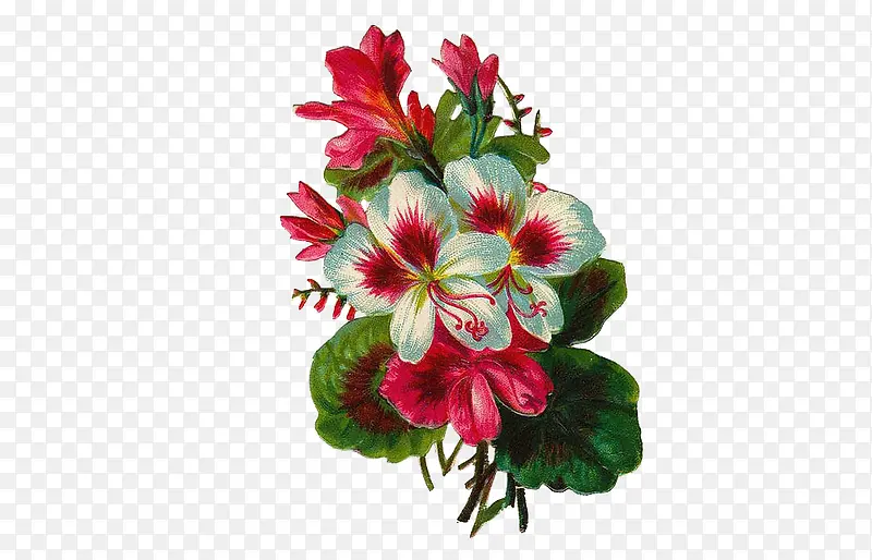 花卉元素