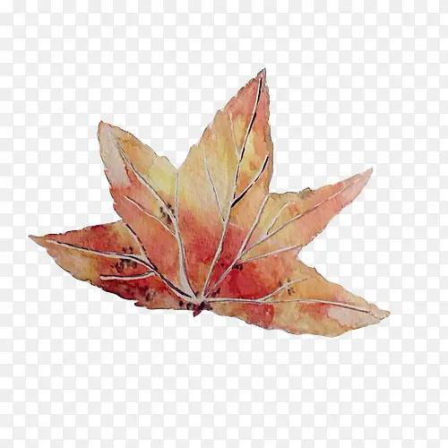 枫叶水彩画素材图片