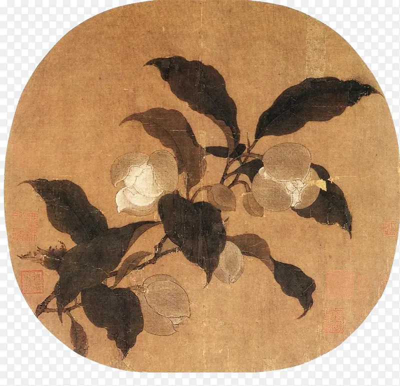 手绘中国画古代棉花
