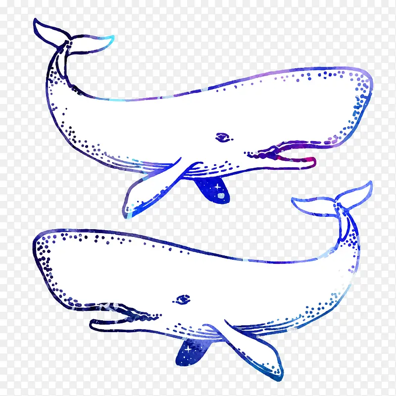 素描蓝色鲸鱼