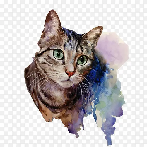 猫咪生动彩绘画素材图片