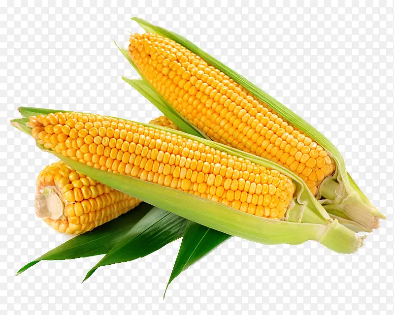 新鲜采摘的玉米