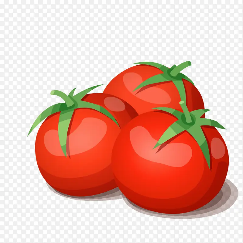 小的番茄