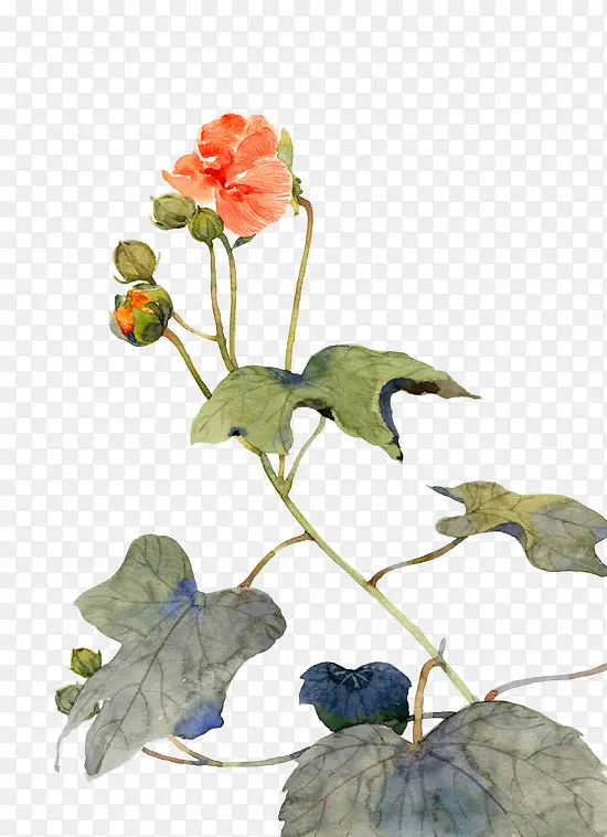 手绘花朵