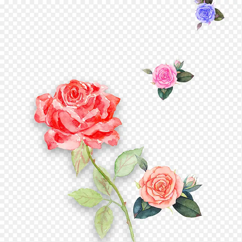 粉色手绘水粉玫瑰花装饰图案