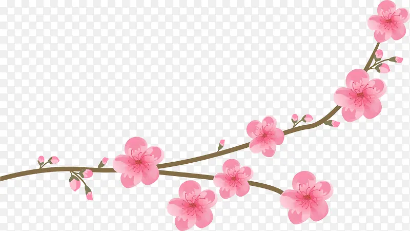 粉色美丽花枝