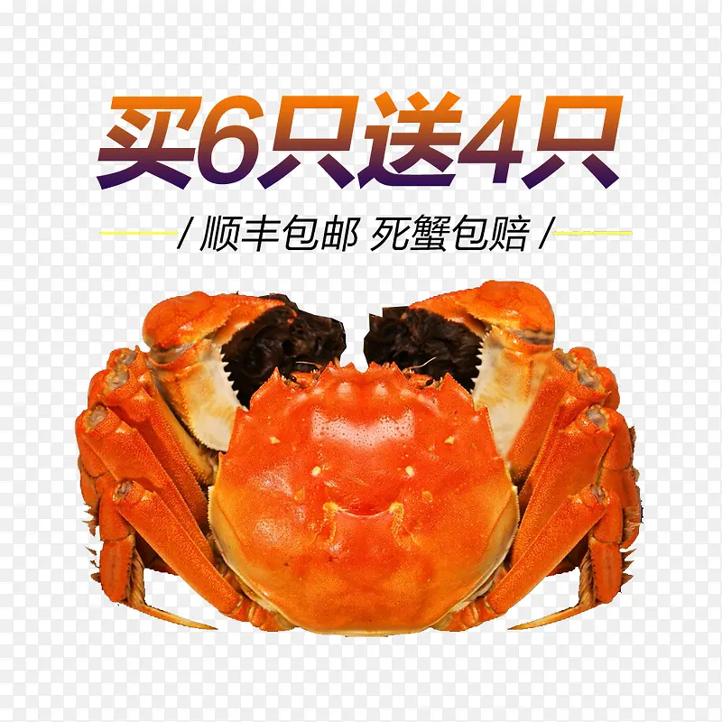 买6只送4只PNG图片素材下载_图片编号8251841-PNG素材网