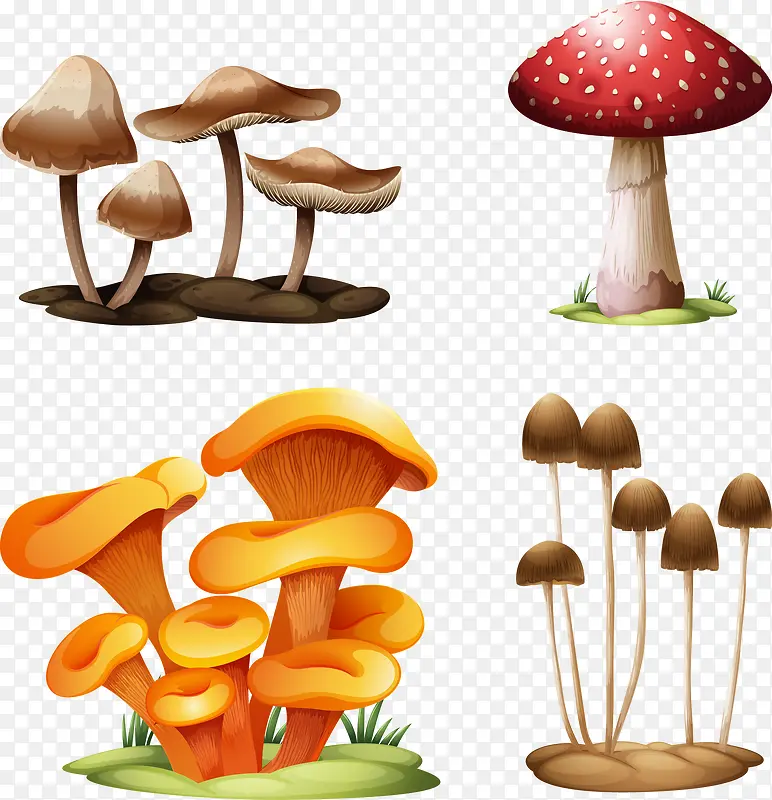 卡通蘑菇设计矢量素材,