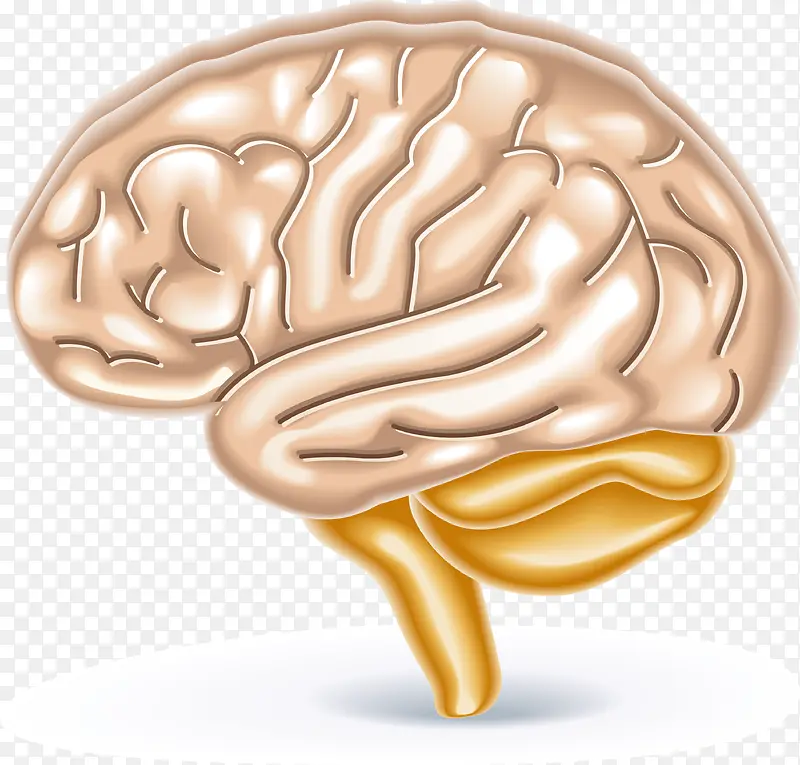 人体大脑脉络图元素