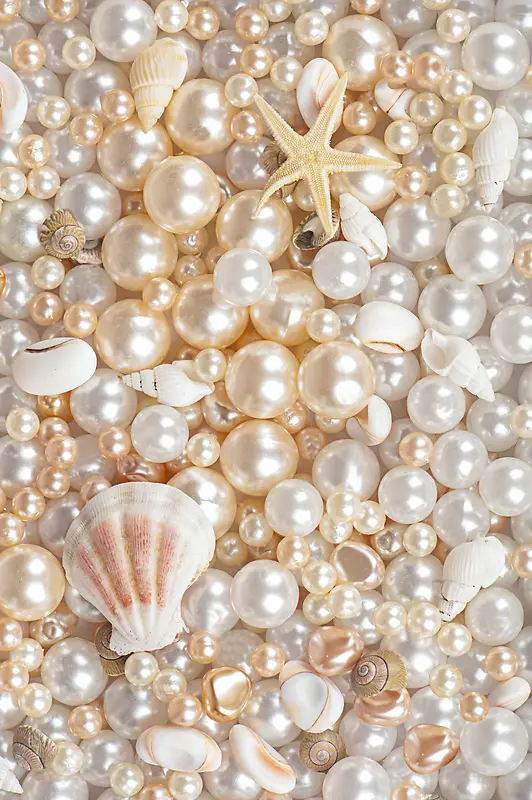 海星贝壳珍珠背景