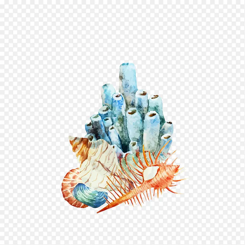 海螺插画