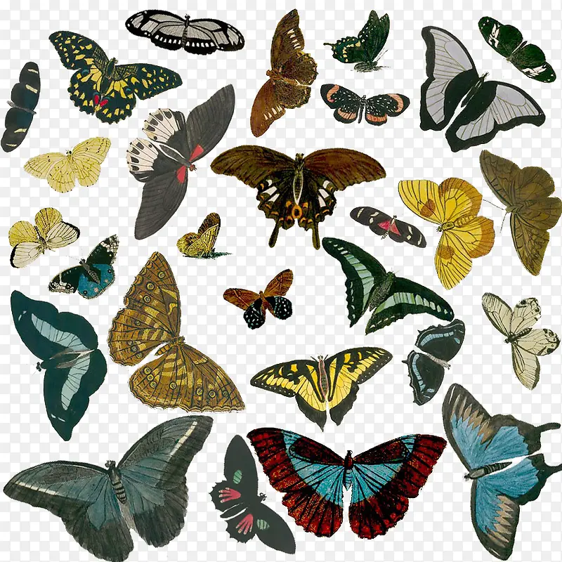 蝴蝶图案套图