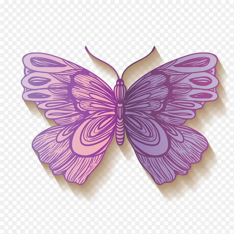紫色纹理质感蝴蝶元素