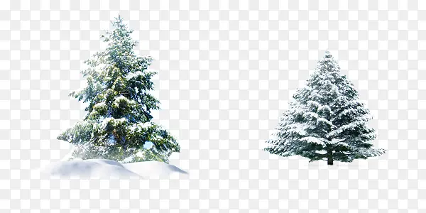 冬日故事展板圣诞树