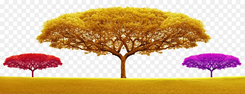 彩色树背景
