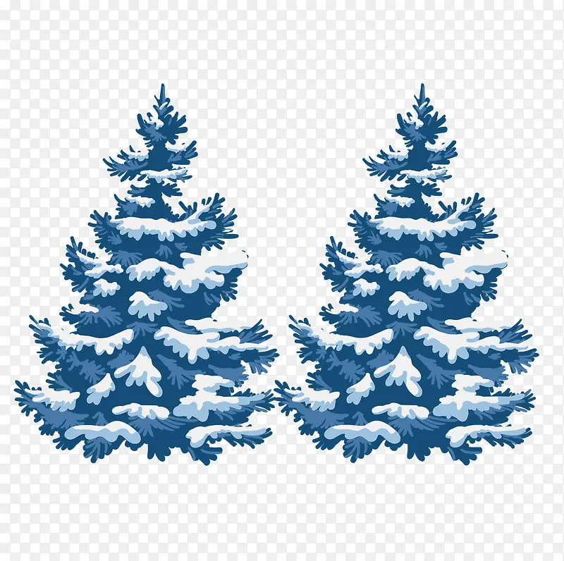 冬季结冰的雪松树木