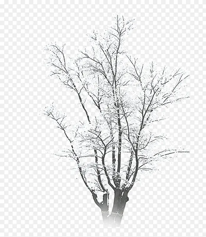 冬季下雪结冰的树木