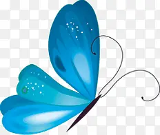 水晶蓝蝴蝶
