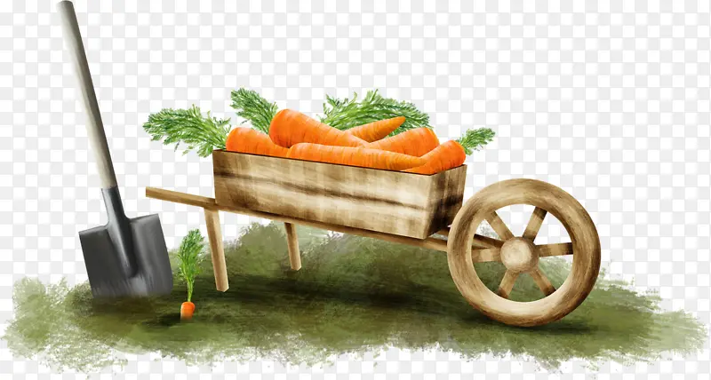 卡通独轮车和胡萝卜