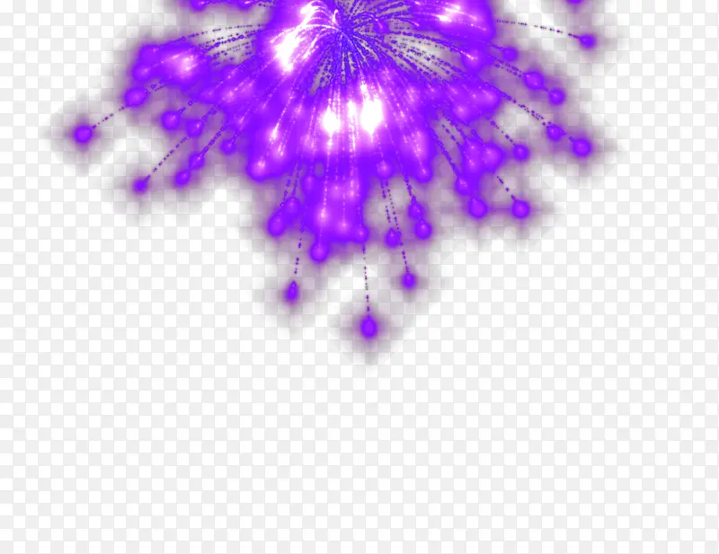 紫色烟花礼花绽放效果