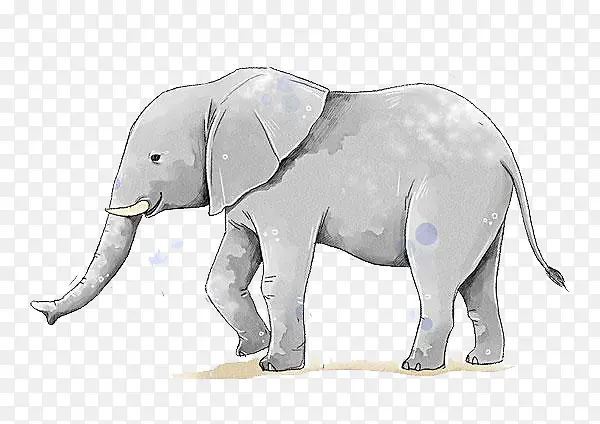 灰色大象