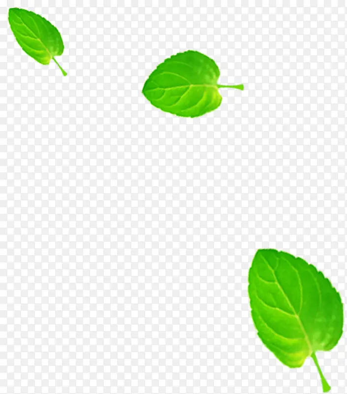 绿色淡雅植物树叶飘浮设计
