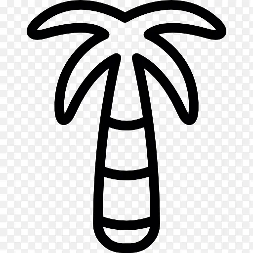 棕榈树与条纹图标
