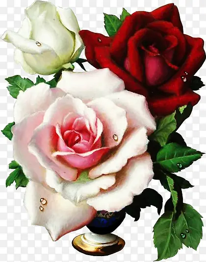 手绘彩铅彩色花朵玫瑰