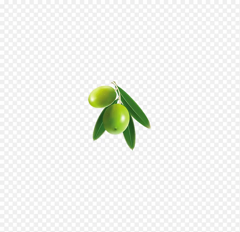 绿色植物橄榄