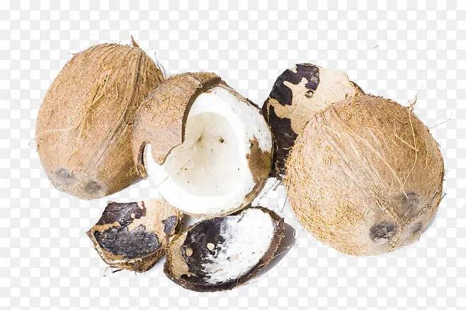 椰子和椰子壳