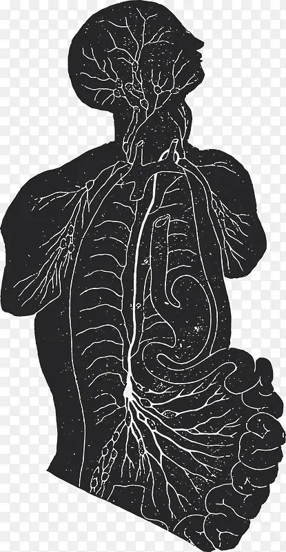 卡通人体器官内脏关节海报设计