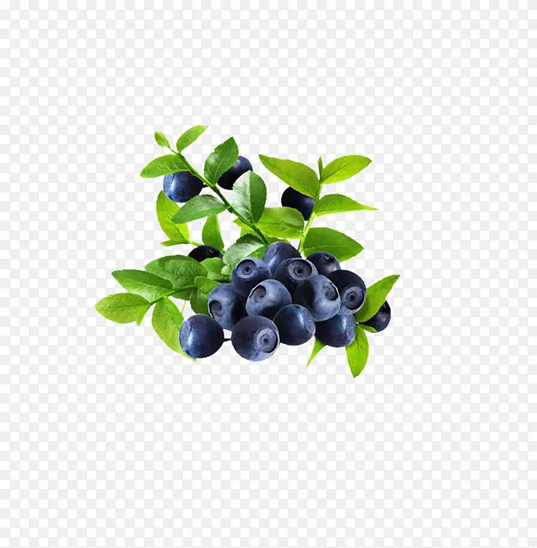 蓝莓和叶子
