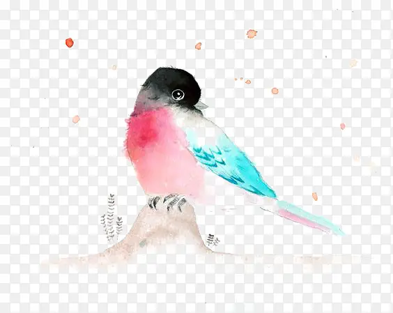 水彩小鸟