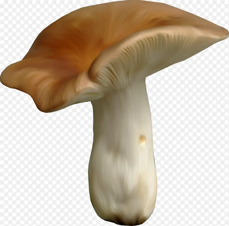 蔬菜图片素材蔬菜图标 蘑菇