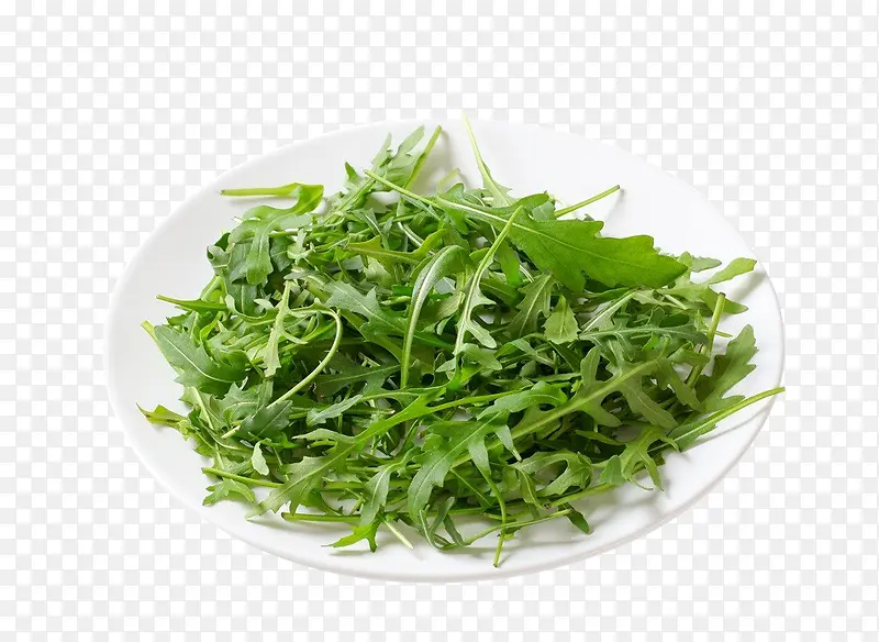 一盘芝麻菜摄影