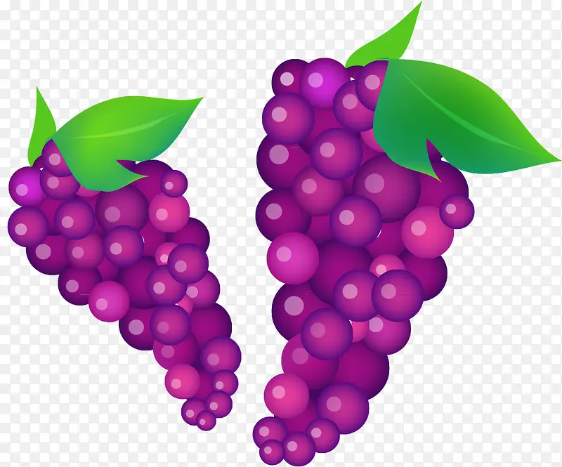 卡通装饰紫葡萄
