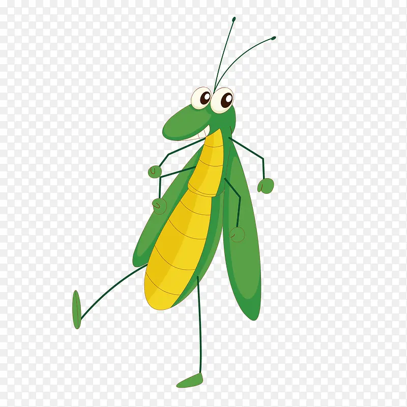 绿色的螳螂