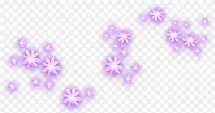 紫色光影花朵