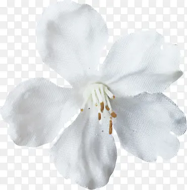 浅蓝色白色布艺花朵
