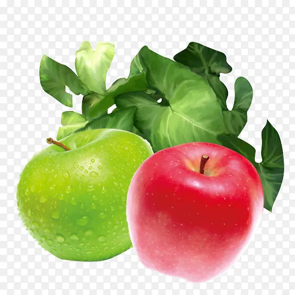 两个颜色的苹果