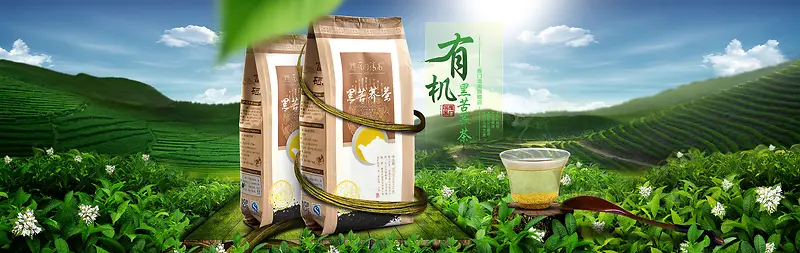 黑苦荞天然营养清茶