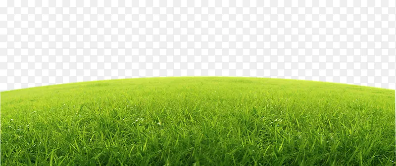 草地