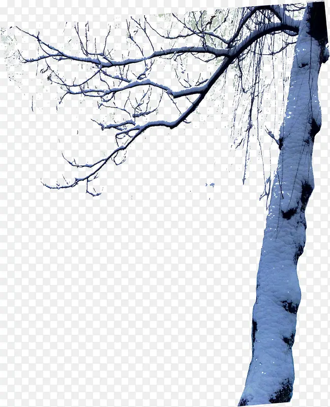 冬日水墨大树树枝