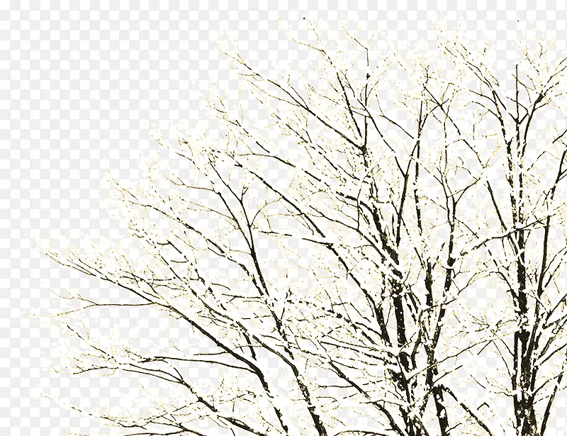 唯美白色冬日大树
