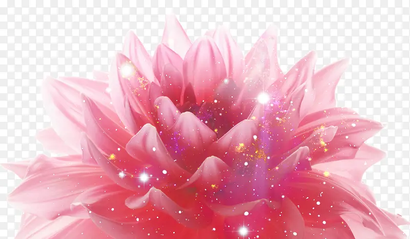 卡通植物粉色花朵星点效果