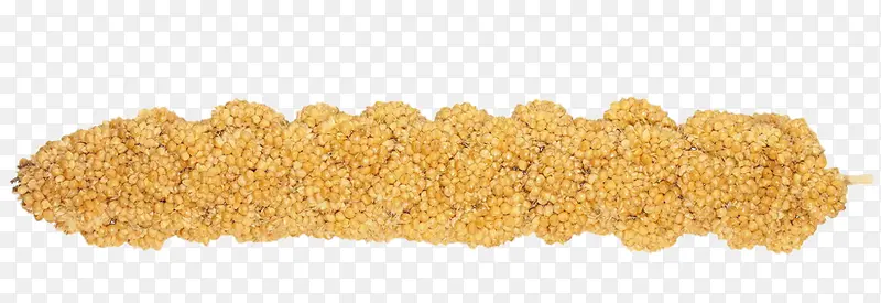 金黄色成熟饱满小米穗